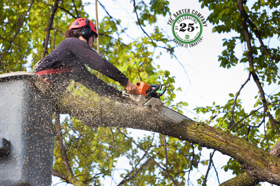 Barter for Tree Services in Atlanta